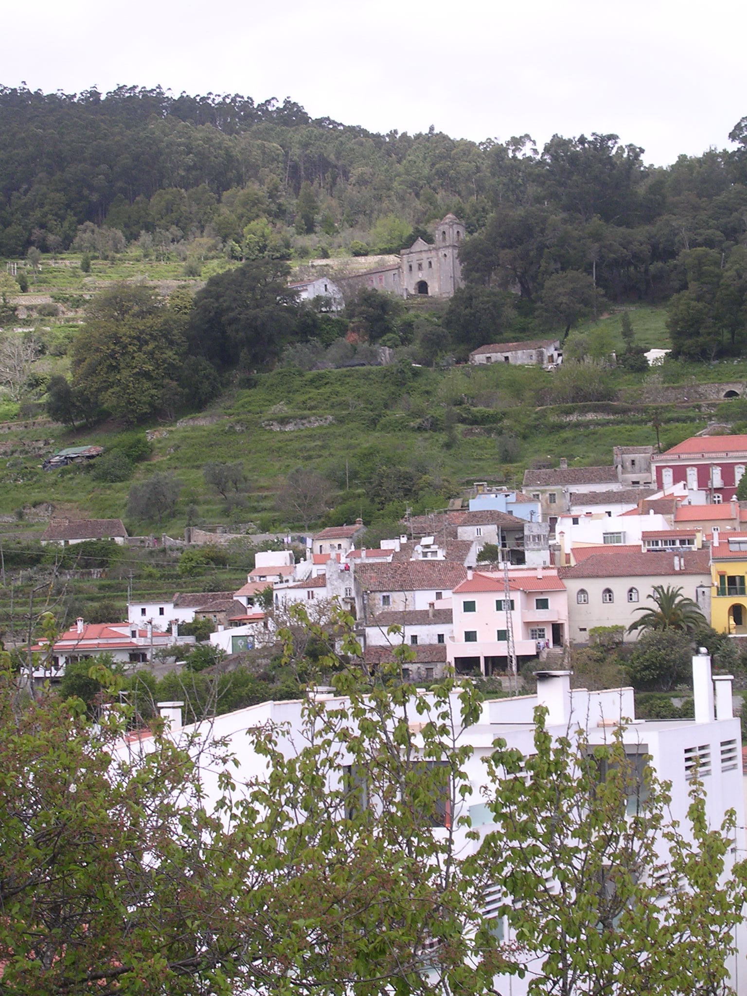 Monchique