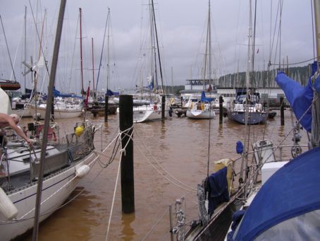 After hurricane Emily